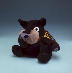 Digger the Snottish Terrier